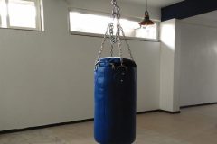 Boxing-768x538